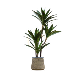 Umelá juka v kvetináči Gallery Direct zelená 65 cm