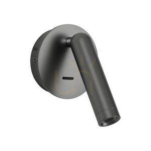 Nástenné svietidlo Italux Carda LED šedé 2,5W 3000K WL-64834-1-GR