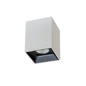 Stropný reflektor LED 10W biely ZAMBELIS