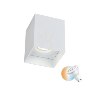 Stropná bodová lampa Gu10 MAX 40W biela ZAMBELIS