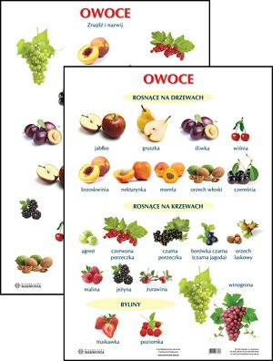 Owoce. Plansze edukacyjne