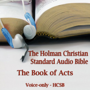 Audiobook - The Book of Acts