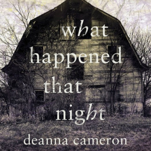 Audiobook - What Happened That Night