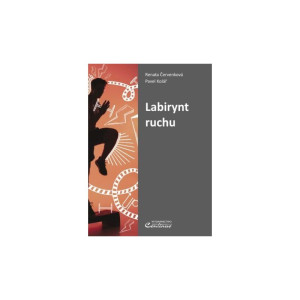Labirynt ruchu