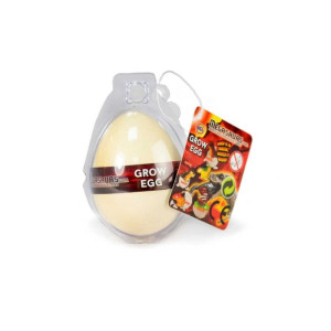 Magic Grow Dinosaur Egg