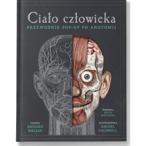 Ciało człowieka: przewodnik pop-up po anatomii