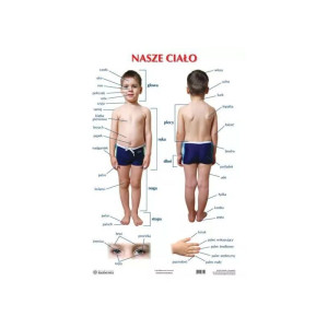Plansze edukacyjne - nasze ciało - our body