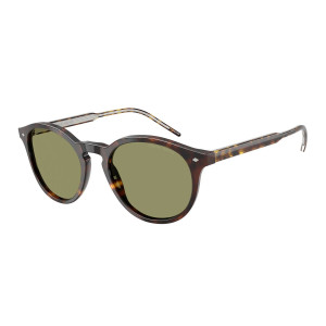 Giorgio Armani Occhiali da Sole AR8211 587914