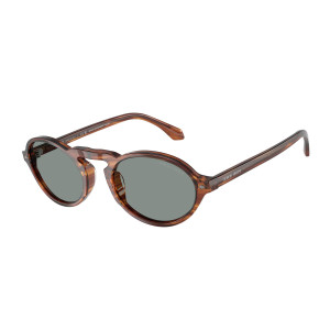 Giorgio Armani Occhiali da Sole AR8219U 616256