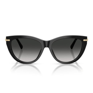 Tiffany Occhiali da Sole TF4253 80013C
