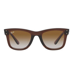 Ray-Ban Occhiali da Sole Wayfarer Reverse RBR0502S 6709CB