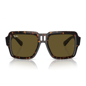 Ray-Ban Occhiali da Sole Magellan RB4408 135973