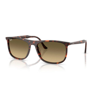 Ray-Ban Occhiali da Sole RB2216 14290A