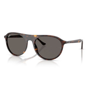 Ray-Ban Occhiali da Sole RB2215 902/B1