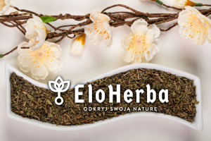 Babka Lancetowata Liść - 2 Kg Ekoherba