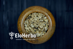 Pietruszka Korzeń Pietruszki - 1 Kg Ekoherba