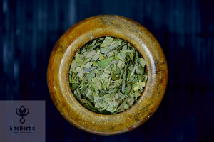 Miłorząb Ginkgo - 50 G Ekoherba