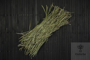 Sosna Igły - 250 G Ekoherba