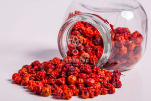 Jarzębina Owoc - 50 G Ekoherba