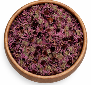 Jeżówka Purpurowa Kwiat - 50 G Ekoherba