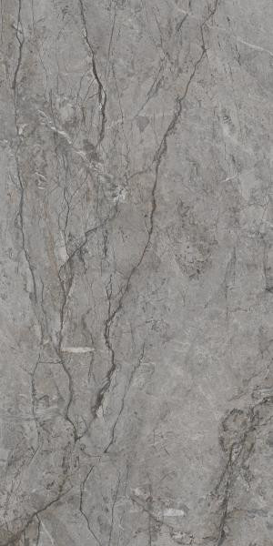 PRÓBKA PŁYTKI - Płytka podłogowa Paradyż Visioner Grey Poler