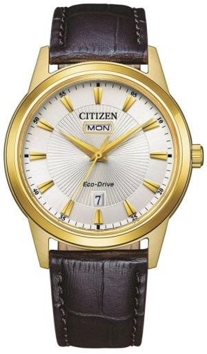 TOP 1 - Zegarek męski CITIZEN AW0102-13AE