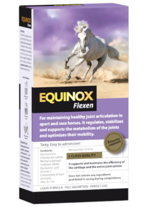 Equinox Flexen 1L - Suplemento para Salud Articular