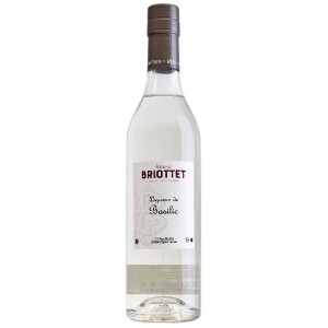 Liquore di Basilico - Edmond Briottet