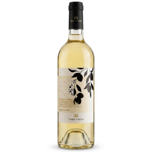 Terra d'Aligi Pecorino Igt Terre di Chieti 2025 - Terra d'Aligi