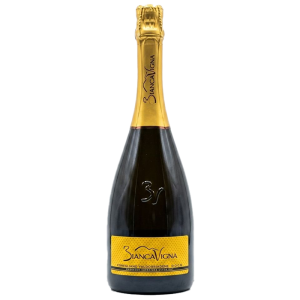 Prosecco Superiore Extra Dry Docg 2025 - BiancaVigna
