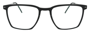 Okulary Lindberg Now 6554 D16
