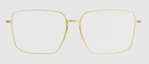 Okulary Lindberg 5511 U13