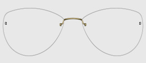Lindberg 2501 P35 - 48/21/135