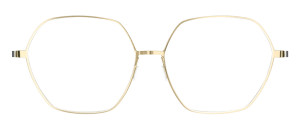 Lindberg 9640 PGT strip titanium 9500|9600 - 48/21/145