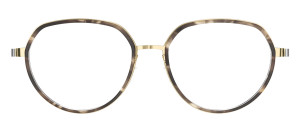 Lindberg 9761 PGT strip titanium 9700 - 48/21/145