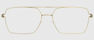 Lindberg Guillaume PGT - 48/21/135