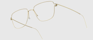 Lindberg Gustav PGT - 48/21/135