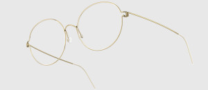 Lindberg Jenny PGT - 48/21/135