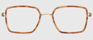 Lindberg Jerald PGT - 48/21/135
