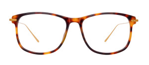 Okulary Linda Farrow Finial Optical in Tortoiseshell damskie - 49/21/145