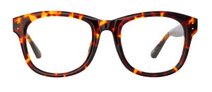 Okulary Linda Farrow Edson Optical in Tortoiseshell damskie - 49/21/145
