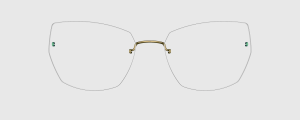 Okulary Lindberg 5353 P265 - kolekcja 2026 - 48/21/135