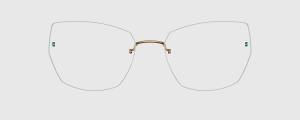 Okulary Lindberg 5353 P266 - kolekcja 2026 - 48/21/135
