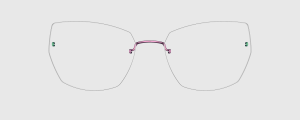 Okulary Lindberg 5353 P268 - kolekcja 2026 - 48/21/135