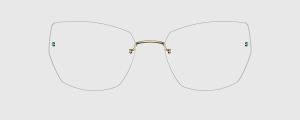 Okulary Lindberg 5353 P272 - kolekcja 2026 - 48/21/135