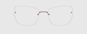 Okulary Lindberg 5353 P273 - kolekcja 2026 - 48/21/135