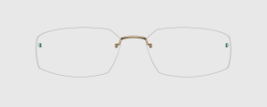 Okulary Lindberg 5350 P254 - kolekcja 2026 - 48/21/135