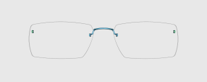 Okulary Lindberg 81015 P221 - kolekcja 2026 - 48/21/135