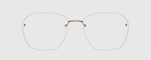 Okulary Lindberg 89019 P194 - kolekcja 2026 - 48/21/135