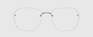 Okulary Lindberg 89019 P197 - kolekcja 2026 - 48/21/135